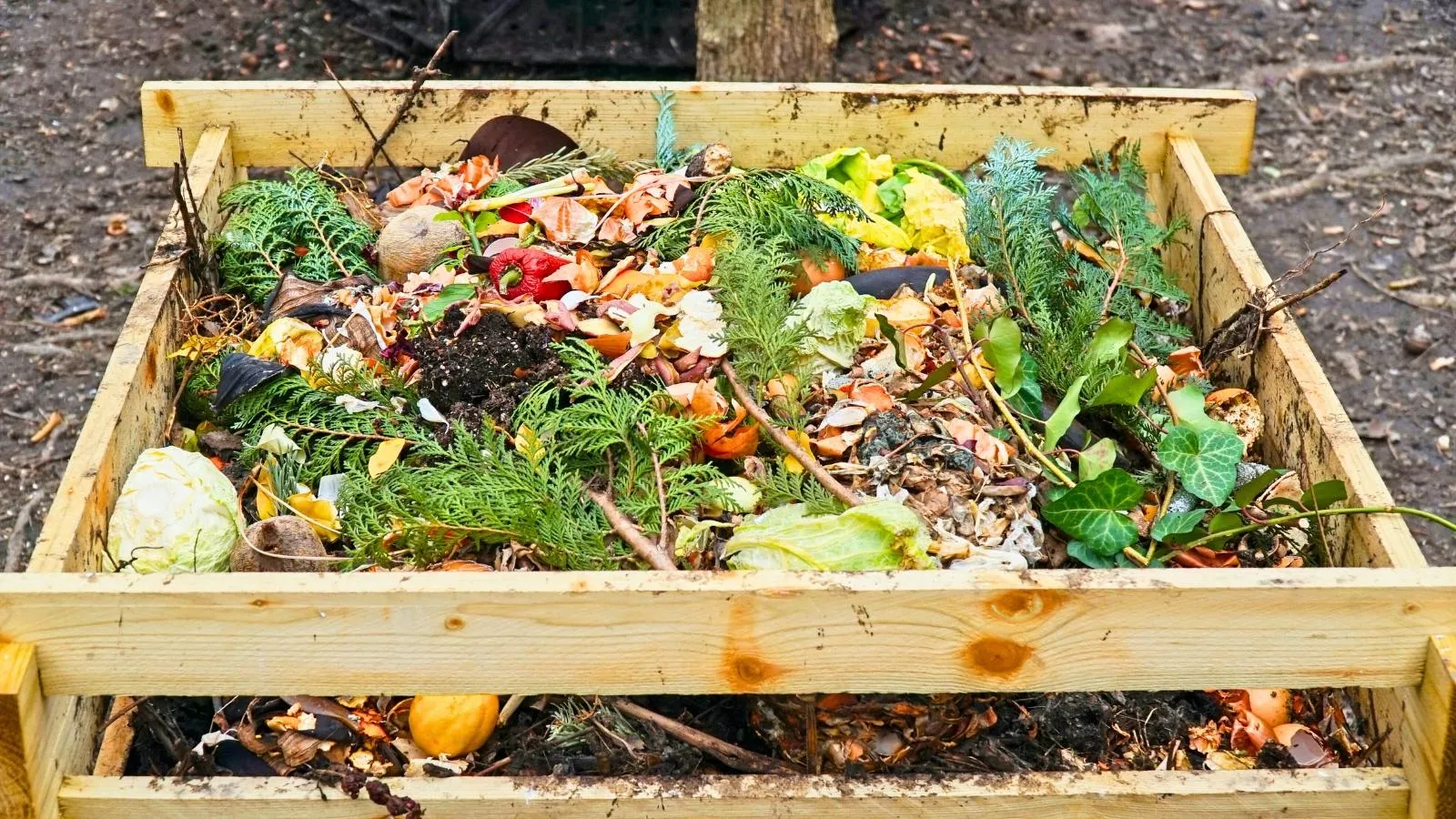 Utiliser le compost et les engrais verts pour booster⁣ la vigueur ‌des ​plantations