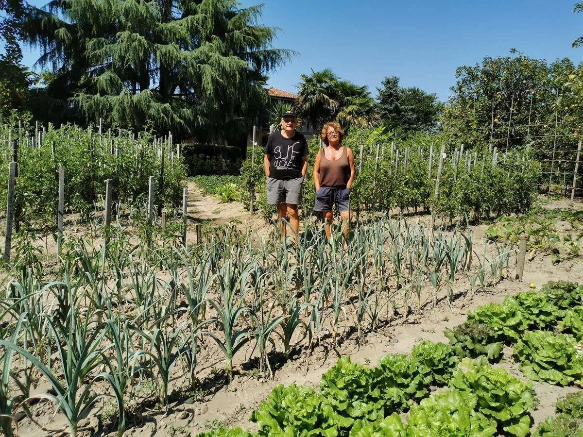 Conseils pratiques pour entretenir et protéger votre potager XXL⁢ toute l'année