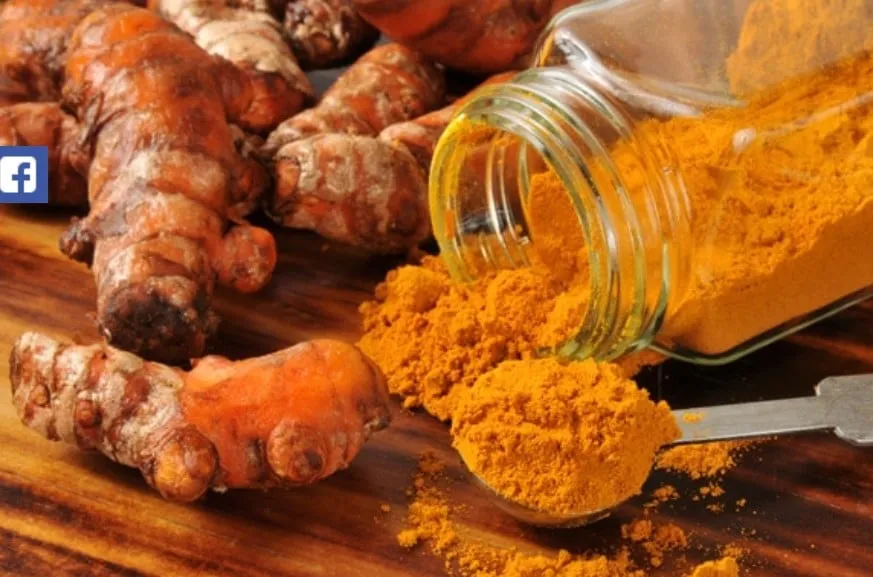 Des aliments qui nettoient naturellement 13