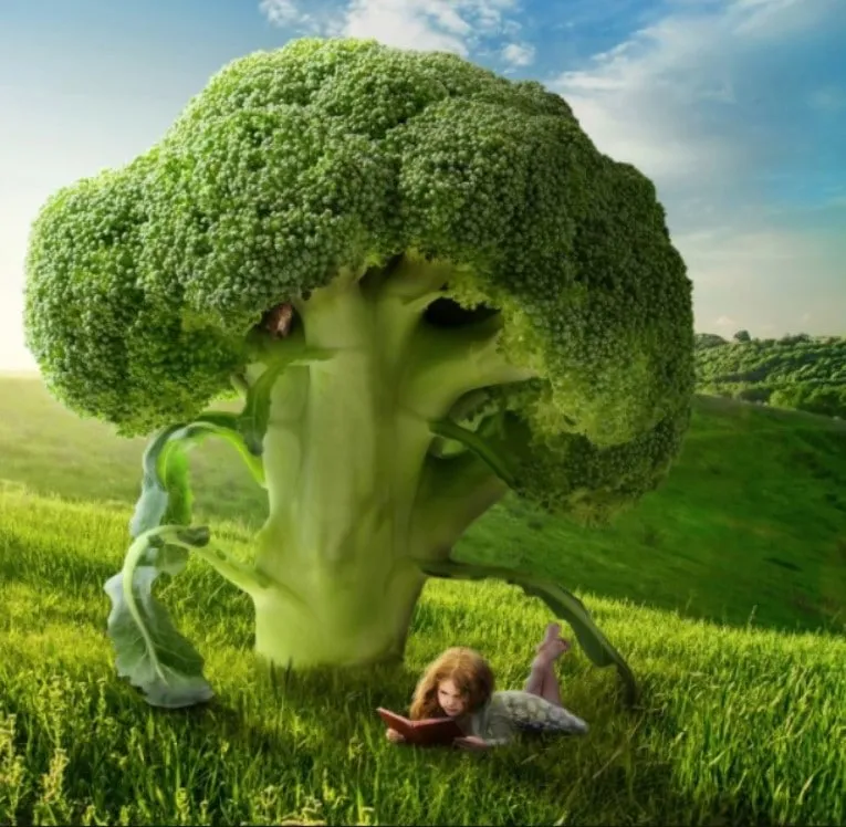 Des aliments qui nettoient naturellement 18