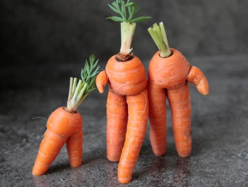 Des aliments qui nettoient naturellement 19