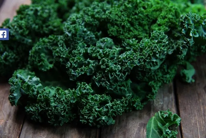 Des aliments qui nettoient naturellement 02