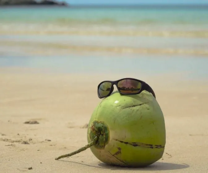 Des aliments qui nettoient naturellement 53