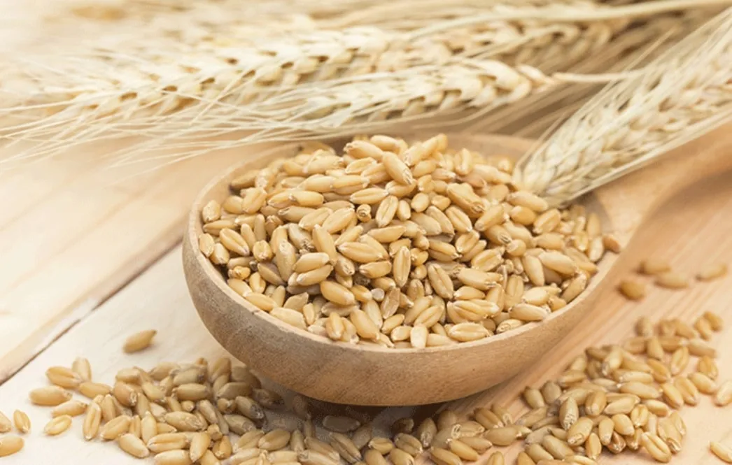 Des aliments qui nettoient naturellement 76