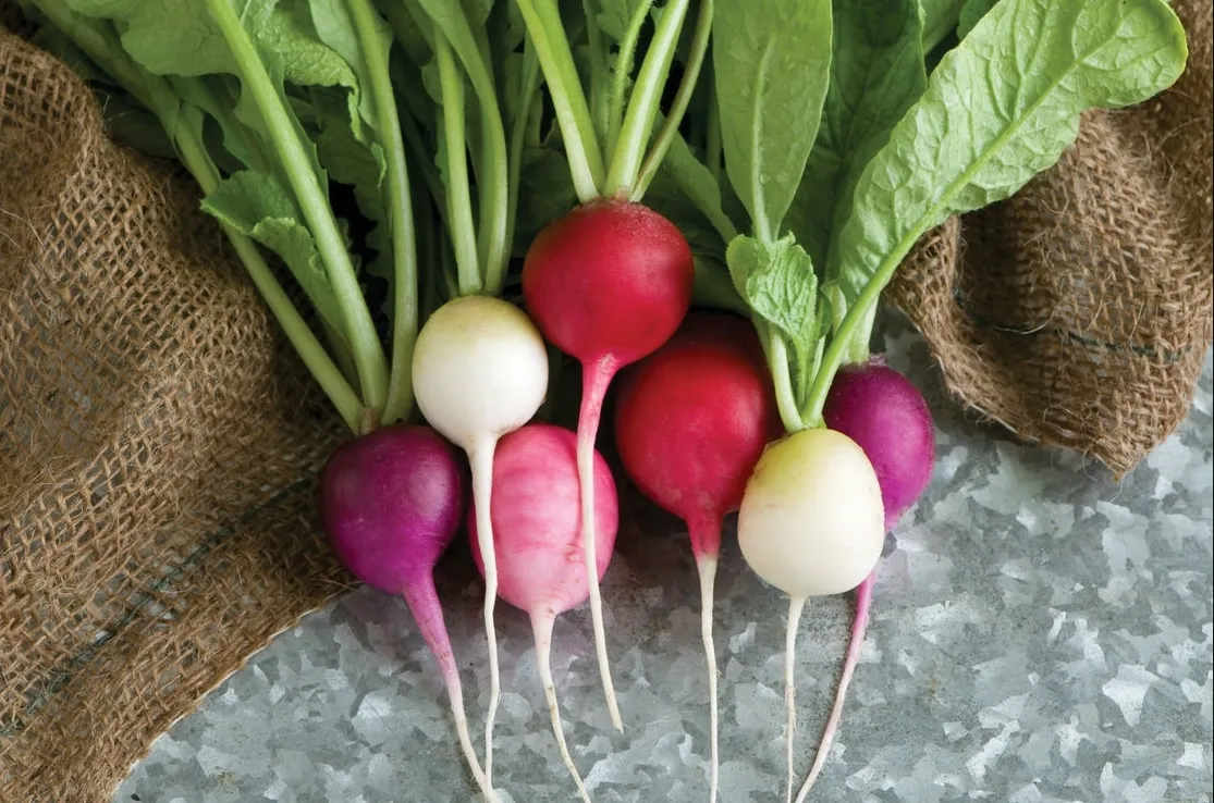 Des aliments qui nettoient naturellement 77