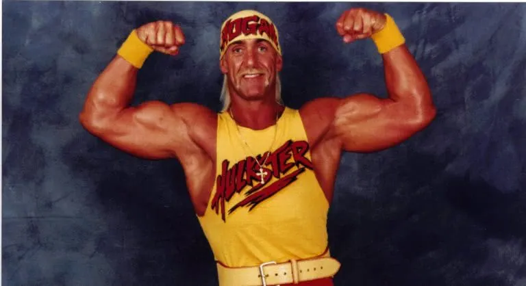hulk hogan v2