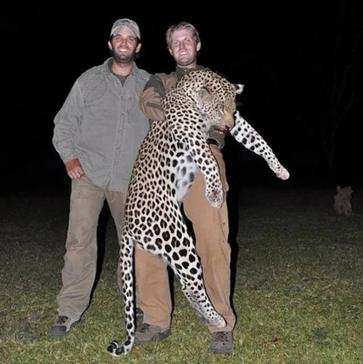 Des images que donald trump 25