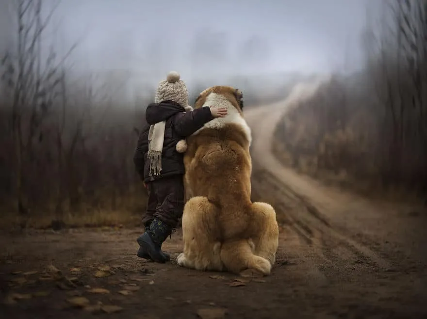 Ces Photos semblent tout droit sorties d’un rêve. Il n’y a pas de mots pour les décrire…
