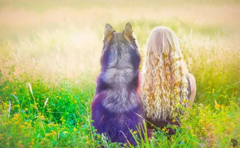 Cette femme n’aurait jamais imaginé que son chien adopté allait la sauver d’une vie de violences conjugales. Il lui a donné le courage de relever la tête.