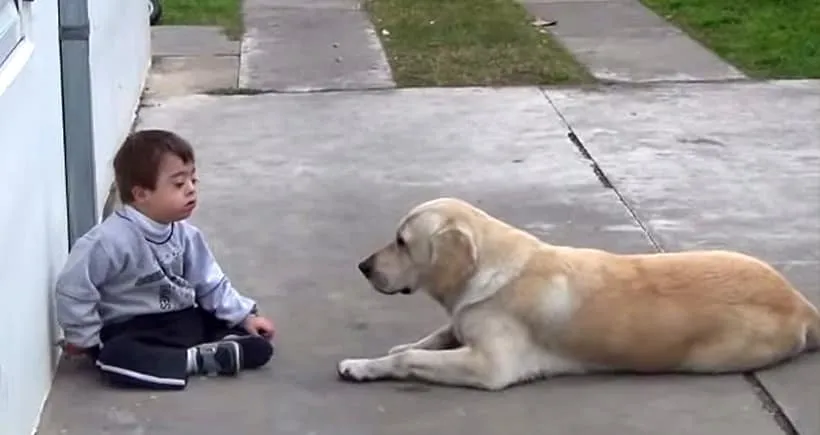 Cet enfant trisomique a peur des contacts sociaux… mais ce que ce chien lui fait? WHOA!