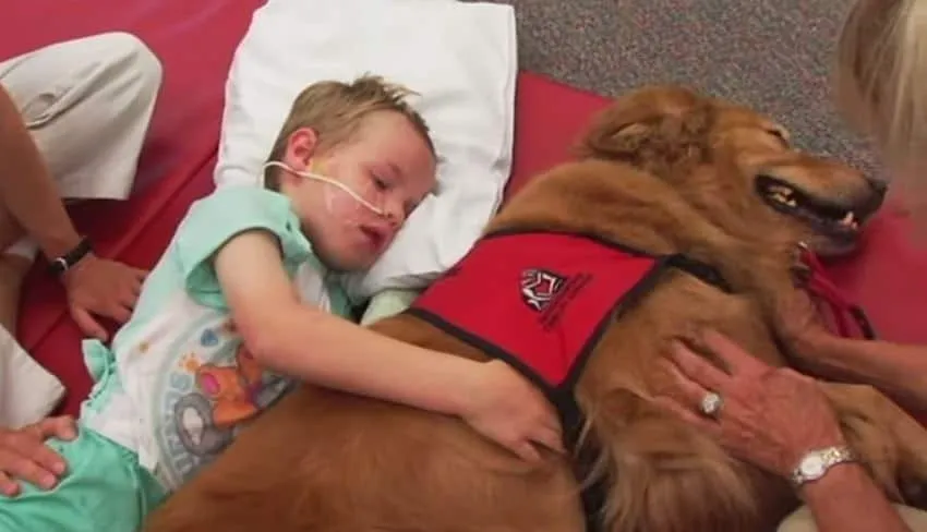 Ils ont présenté leur enfant, presque «sans vie», à un chien. Et, un véritable miracle s’est produit !