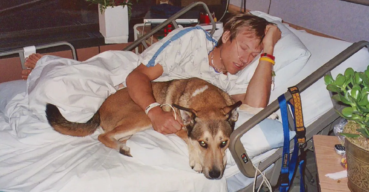 Ceci est l’un des hommages à un chien les plus touchants que j’aie jamais vus. Je suis en larmes.