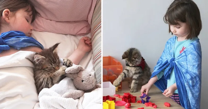 L’amitié réconfortante entre une petite fille autiste de 5 ans et son chat