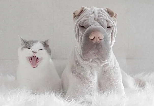 1615
