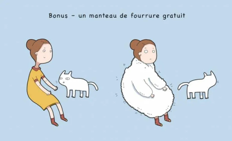 10 avantages davoir un chat 10
