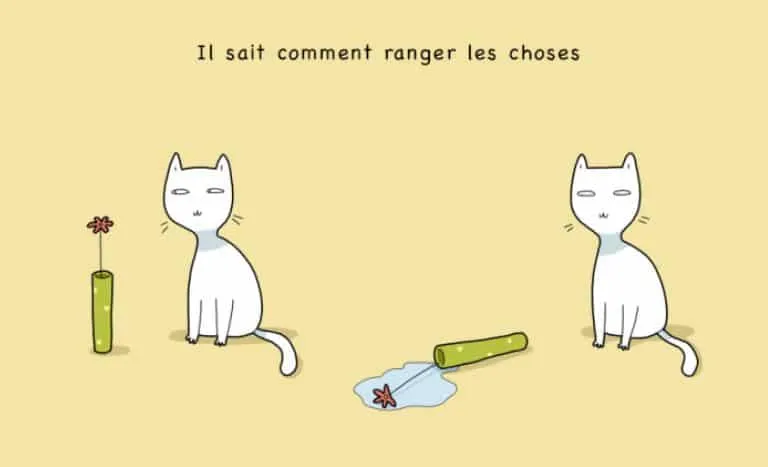 10 avantages davoir un chat 02