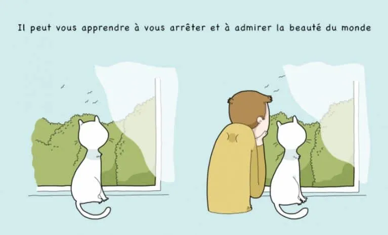 10 avantages davoir un chat 04