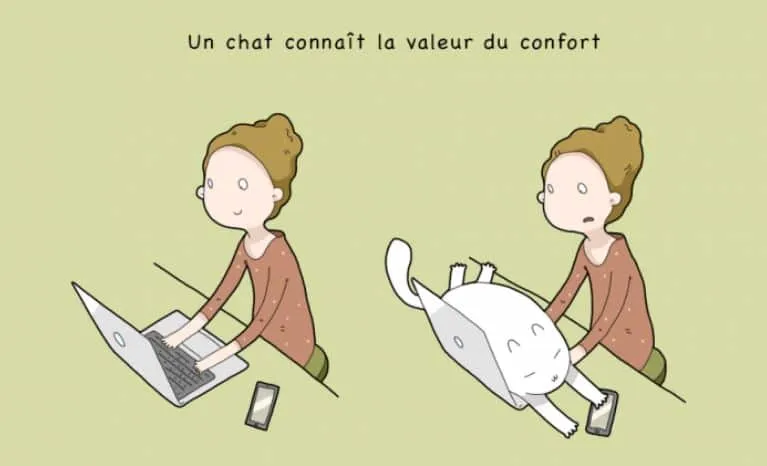 10 avantages davoir un chat 05