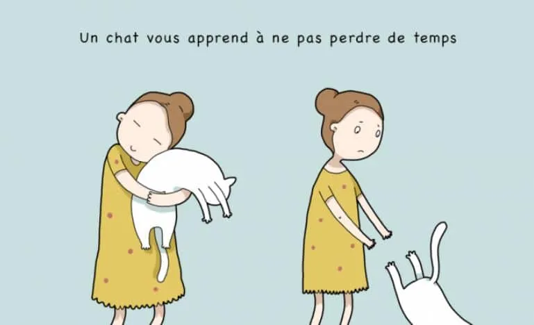 10 avantages davoir un chat 07