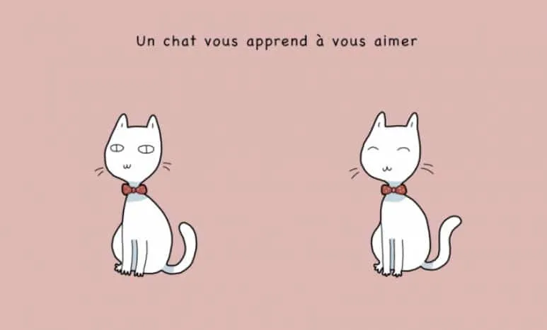 10 avantages davoir un chat 08