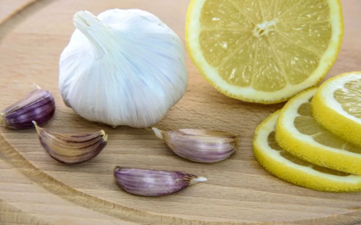 Les 11 antibiotiques naturels les plus puissants