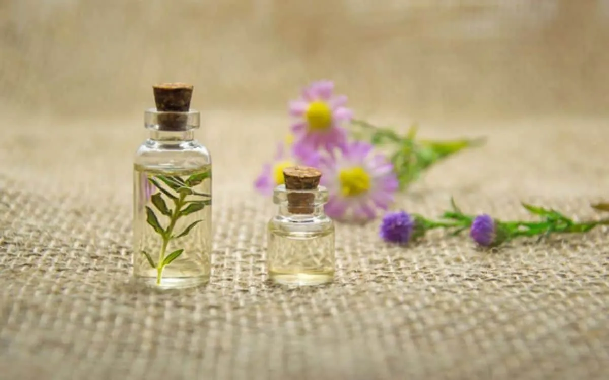 Les 11 antibiotiques naturels les 12