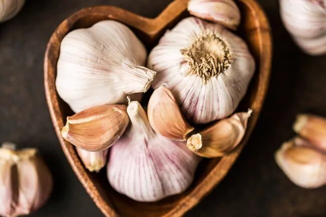 Garlic v2