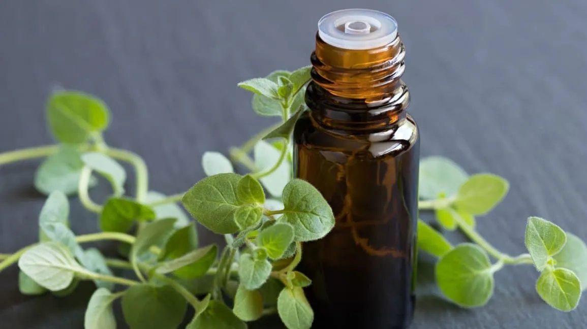 Les 11 antibiotiques naturels les 02v2