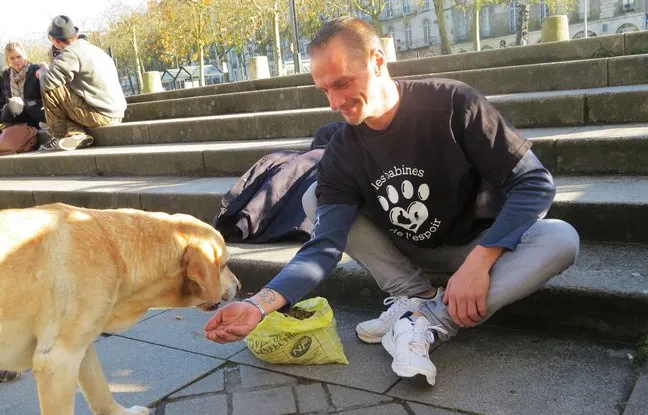 Cet ancien SDF a créé des « Restaus du Coeur » pour les animaux des sans-abris