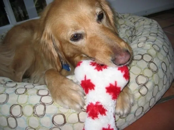 Alfie9