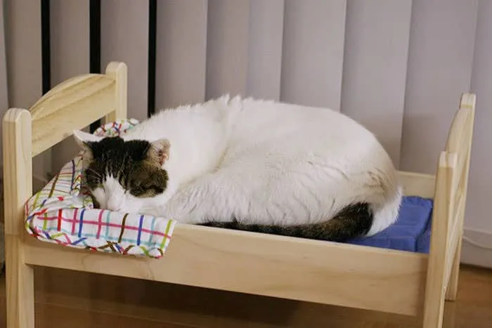 Lit ikea pour chat 10