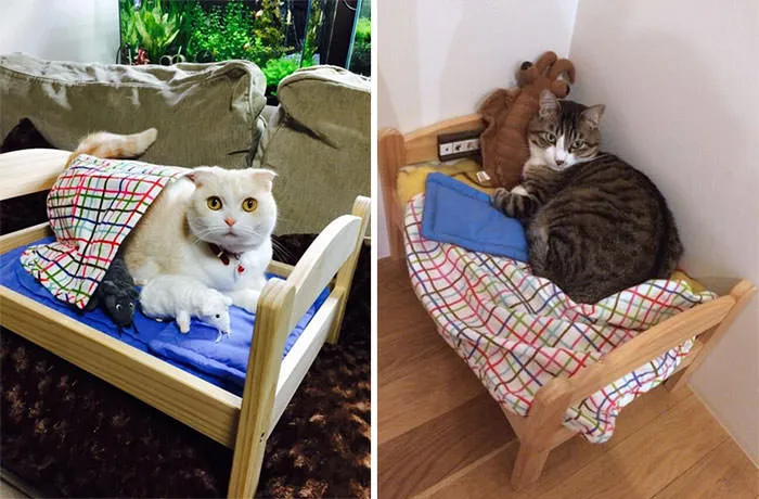Lit ikea pour chat 12