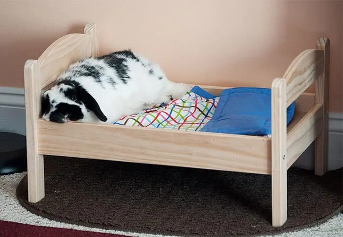 Lit ikea pour chat 15