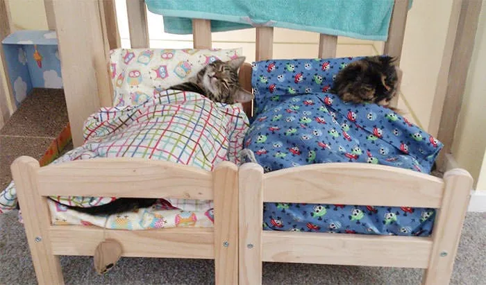 Lit ikea pour chat 3