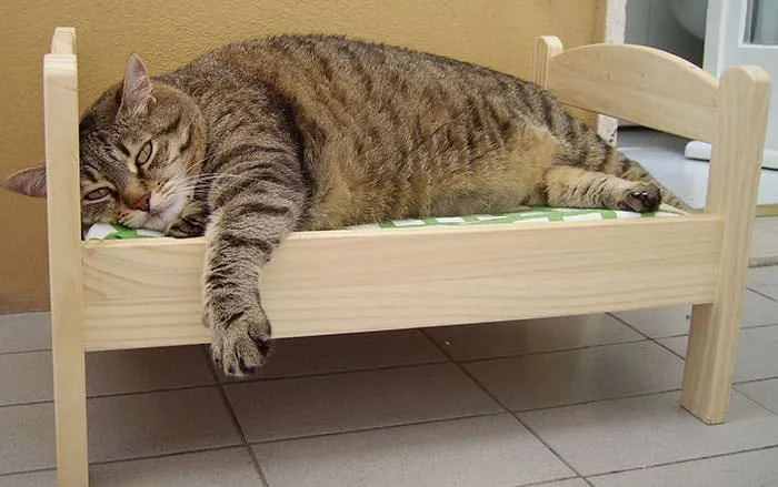 Lit ikea pour chat 5