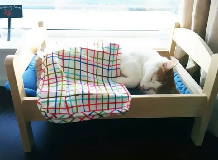 Lit ikea pour chat 6
