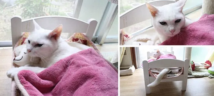 Lit ikea pour chat 7
