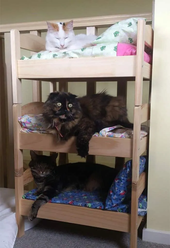 Lit ikea pour chat 9