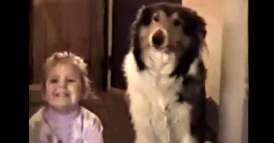 Maman Prend Une Photo. Mais Regardez La Reaction Du Chien…