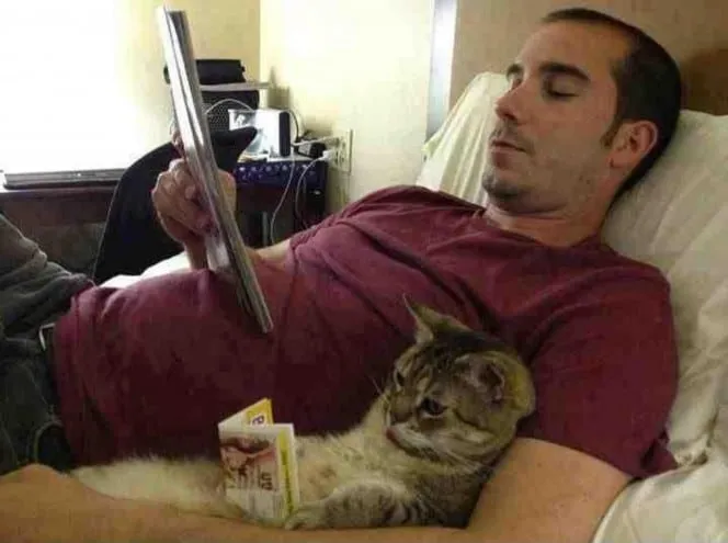 Meme les amateurs de chats 08
