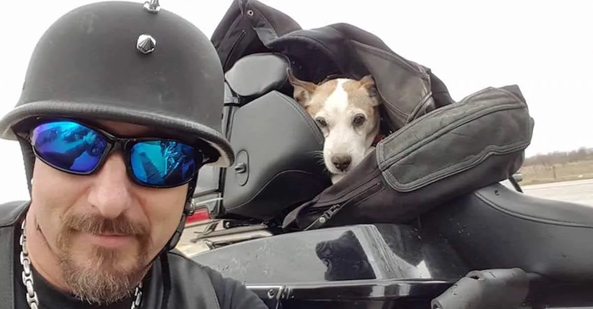 Un fou commence à battre un chien sur le côté de la route. Maintenant regardez ce que fait ce motard.