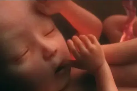 10 photos extraordinaires de la croissance dun bebe dans le ventre dune mere