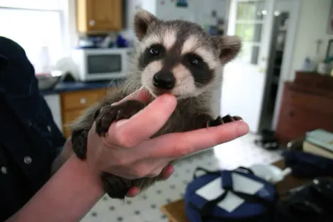 42 photos qui devraient vous rendre presque trop heureux