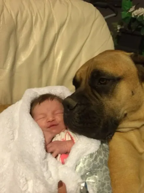 42 photos qui devraient vous rendre presque trop heureux