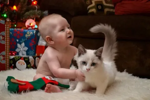42 photos qui devraient vous rendre presque trop heureux