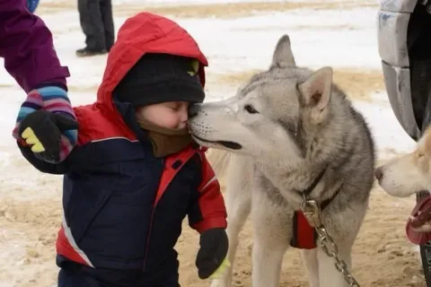 42 photos qui devraient vous rendre presque trop heureux
