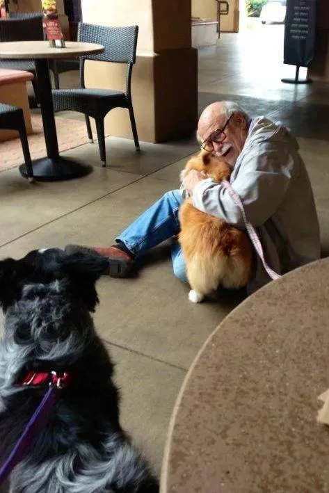42 photos qui devraient vous rendre presque trop heureux