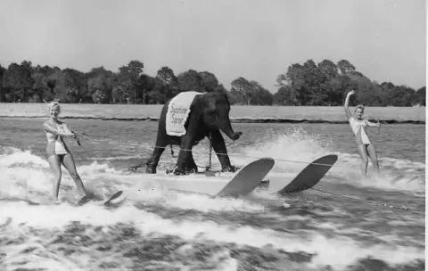 50 photos historiques jamais vues auparavant