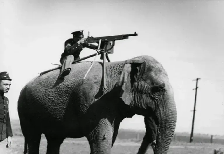 50 photos historiques jamais vues auparavant