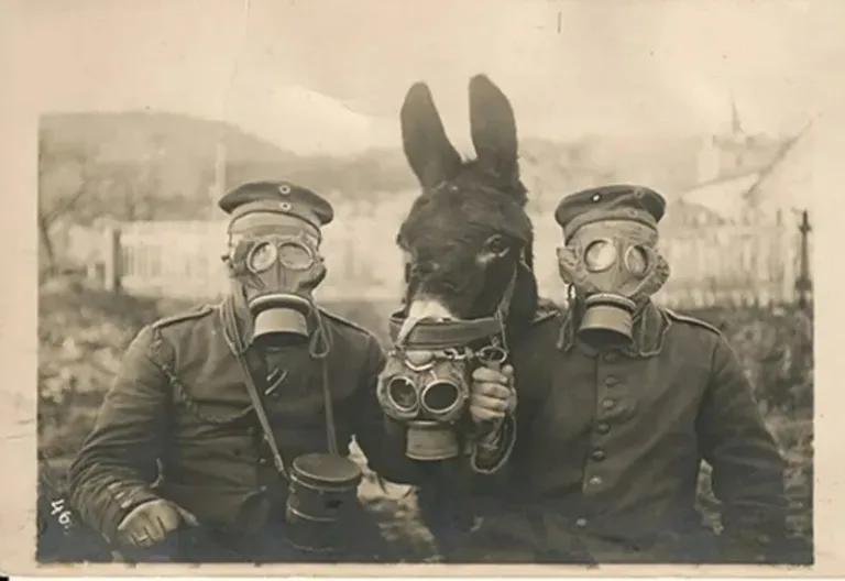 50 photos historiques jamais vues auparavant